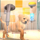 Illustration for article titled Five Minutes Into Vita Pets, And I'm Already Creeped Out